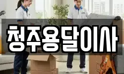 청주용달이사