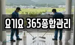 요기요 365종합관리