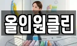 올인원클린