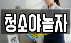 청소야놀자
