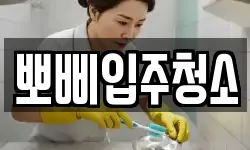 뽀삐입주청소