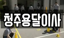 청주용달이사