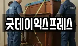 굿데이익스프레스