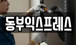 동부익스프레스