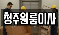 청주원룸이사