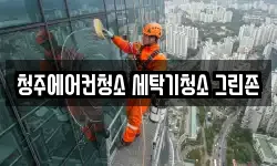 충청북도 청주시 서원구 모충동 청소,입주청소,사무실청소,에어컨청소