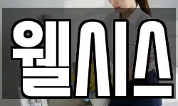 웰시스