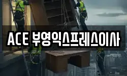 ACE 부영익스프레스이사