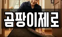 곰팡이제로