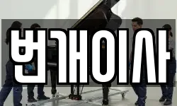 번개이사