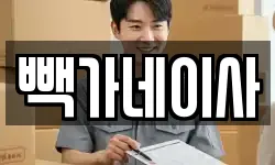 빽가네이사