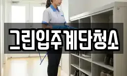 그린입주계단청소