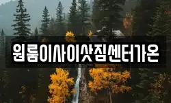 원룸이사이삿짐센터가온