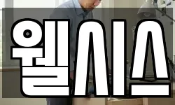 웰시스
