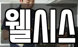 웰시스