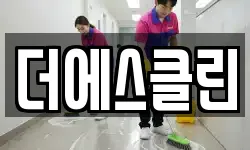 더에스클린