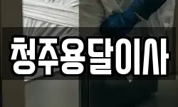 청주용달이사