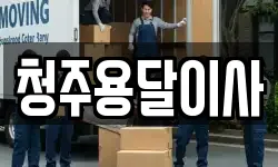 청주용달이사