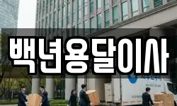 백년용달이사