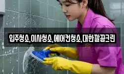 입주청소,이사청소,에어컨청소,대한깔끔크린