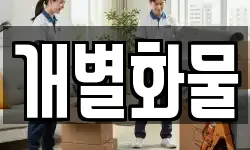 개별화물