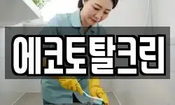 에코토탈크린