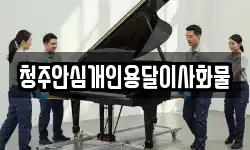 청주안심개인용달이사화물