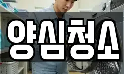 양심청소