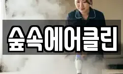 숲속에어클린