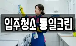 입주청소 통일크린
