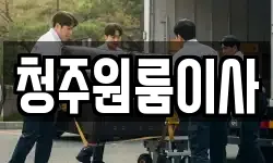 청주원룸이사