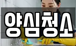 양심청소