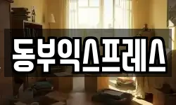 충청북도 청주시 흥덕구 동막동 이사,용달이사,포장이사,원룸이사,보관이사