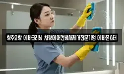 청주오창 에바크리닝 차량에어컨냄새제거전문기업 에바몬스터