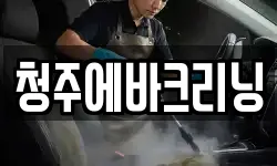 청주에바크리닝