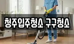 청주입주청소 구구청소
