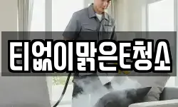 티없이맑은E청소