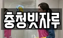 충청빗자루