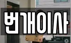 번개이사