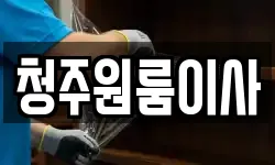 청주원룸이사