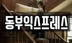 충청북도 청주시 흥덕구 신봉동 이사,용달이사,포장이사,원룸이사,보관이사