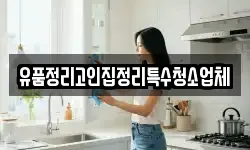 충청북도 청주시 흥덕구 신성동 청소,입주청소,사무실청소,에어컨청소