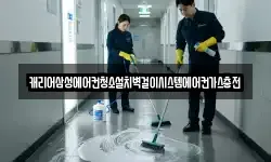 캐리어삼성에어컨청소설치벽걸이시스템에어컨가스충전