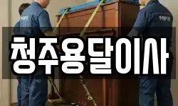 청주용달이사
