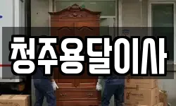 청주용달이사