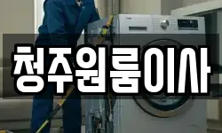 청주원룸이사