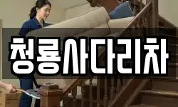 청룡사다리차