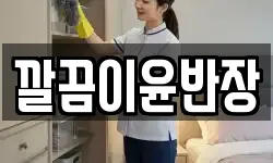 깔끔이윤반장