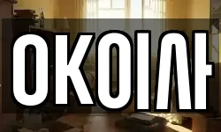OK이사