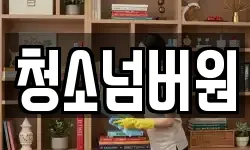 청소넘버원